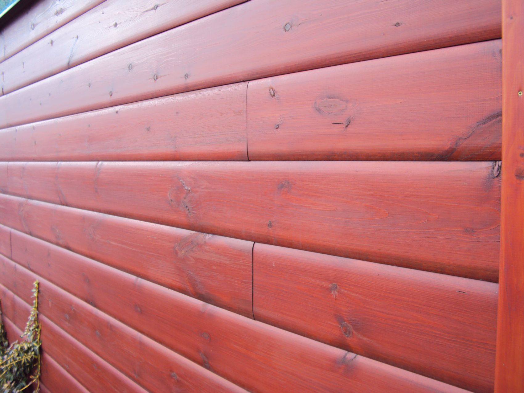 Wysokogatunkowo drewno do budowy domów i domków z drewna